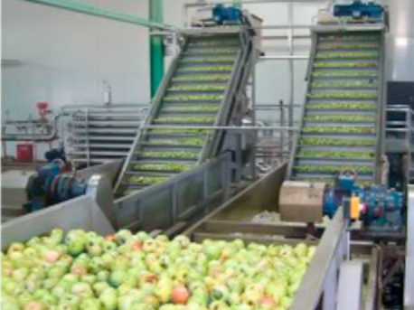 苹果/ 梨类水果加工生产线