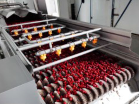 枣/ 山楂类水果加工生产线