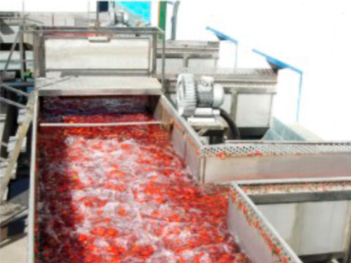 番茄/胡萝卜/枸杞/沙棘类蔬菜加工生产线